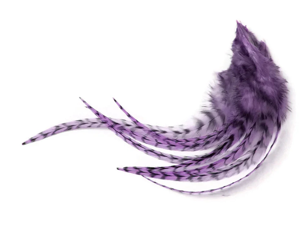 Vibrant purple feathers with black patterned accents for DIY crafts and fashion accessories.