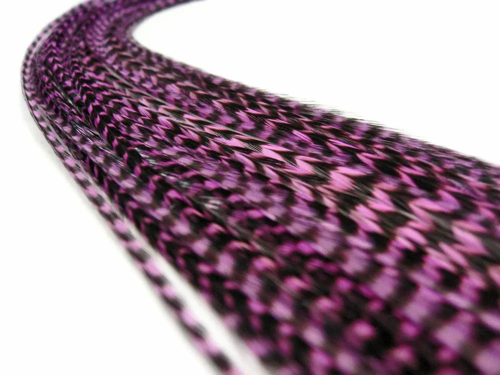 Close-up of vibrant purple and black patterned feathers for fashion and DIY crafts.