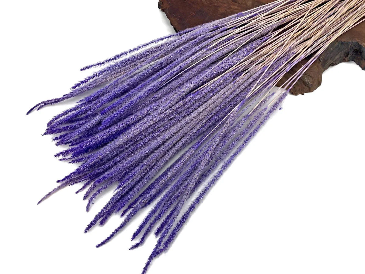 Dried purple lavender-colored decorative grass stalks for DIY crafts and floral decor.
