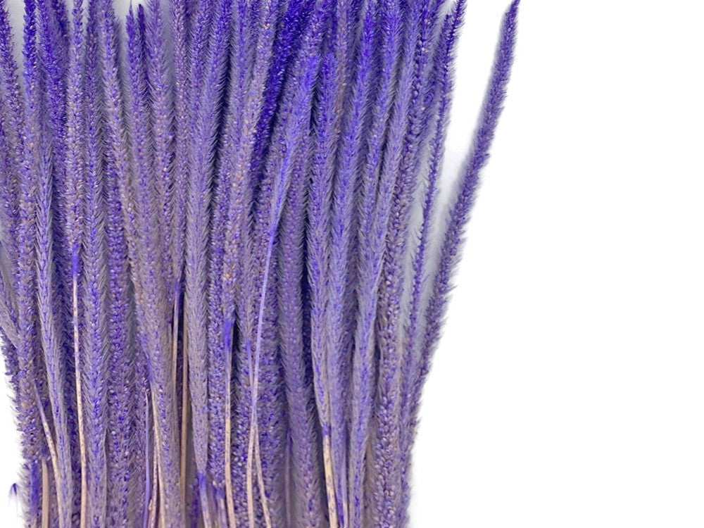60 Pieces - 18-22" Dyed Lilac Thousand Grass Reed Preserved Dried Botanical