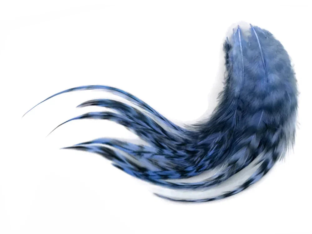 Vibrant blue and black patterned feathers for DIY crafts and fashion accessories.