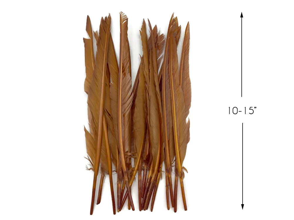Bundle of long brown natural feathers for crafts and DIY decor, 10-15 inches in length.