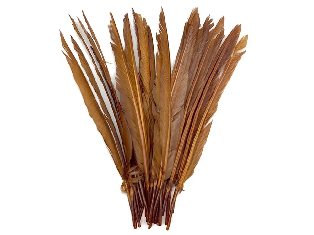 Bundle of long brown natural feathers for DIY crafts and fashion decor.