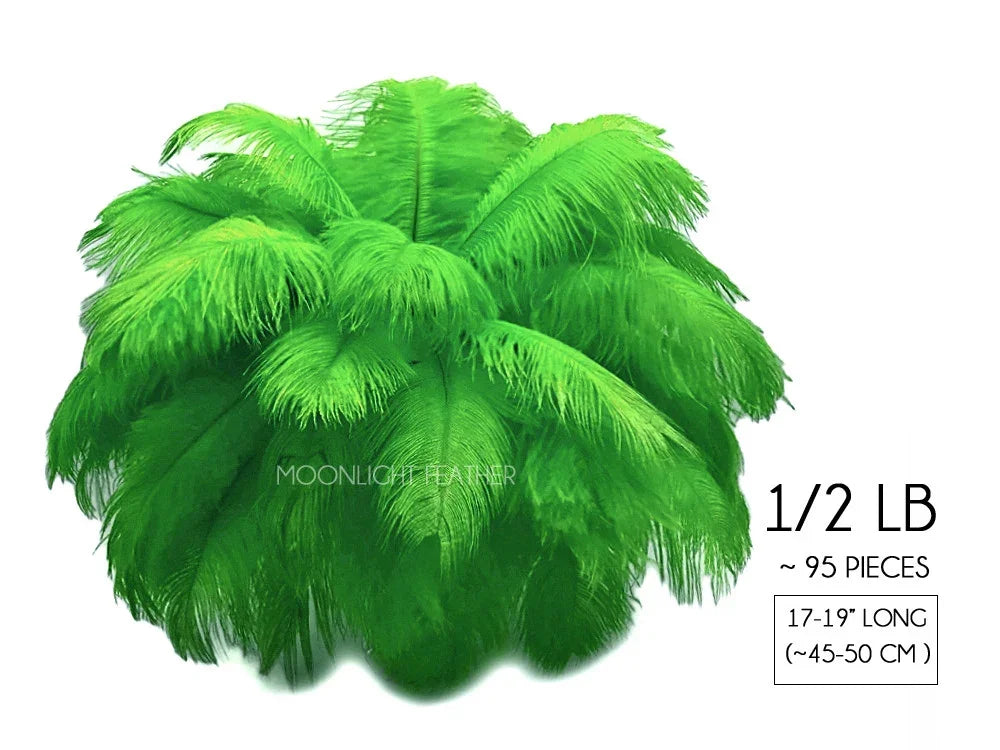 Vibrant lime green ostrich feathers for crafts and fashion decor, 95 pieces pack.