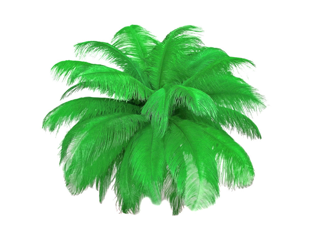 10 Pieces - 17-19" Light Green Large Bleached & Dyed Ostrich Drabs Body Feathers