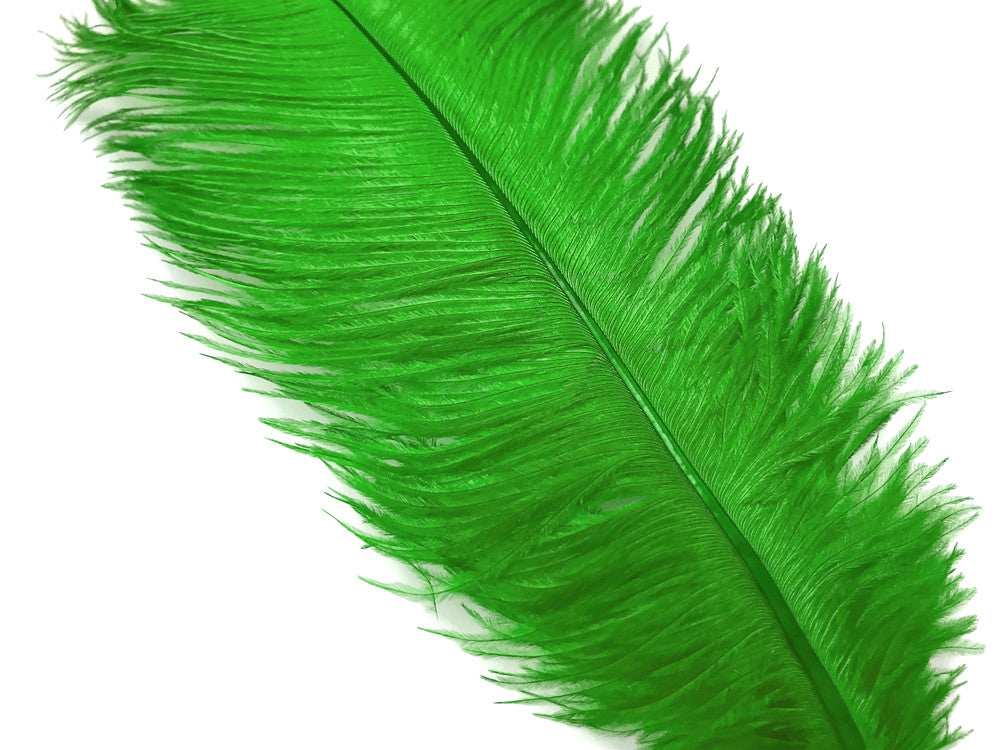 10 Pieces - 17-19" Light Green Large Bleached & Dyed Ostrich Drabs Body Feathers