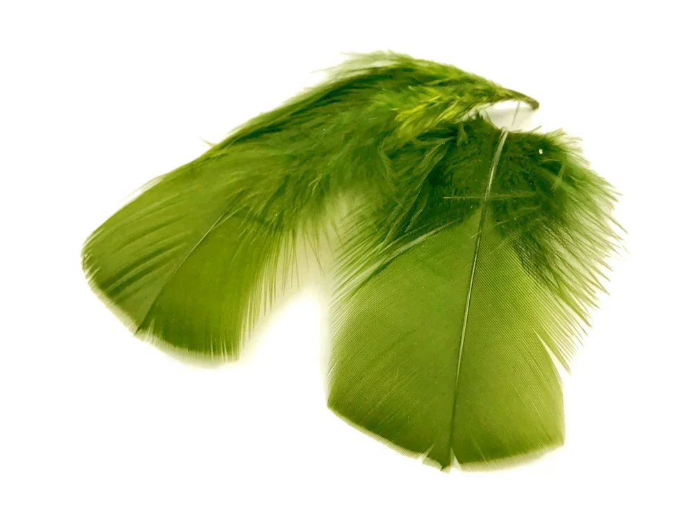 Vibrant green natural feathers for DIY crafts, fashion, and creative décor.