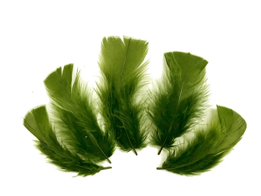 Set of vibrant green craft feathers for DIY fashion and décor projects.