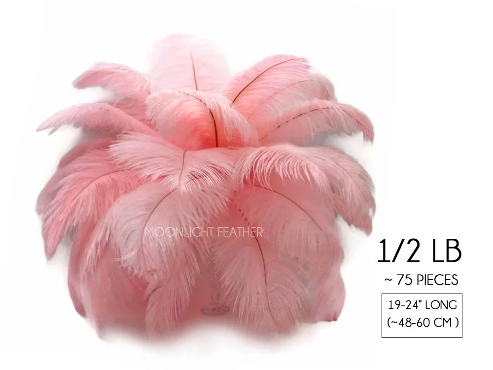Bulk pack of 75 pink ostrich feathers, 19-24 inches long, for DIY crafts and fashion decor.
