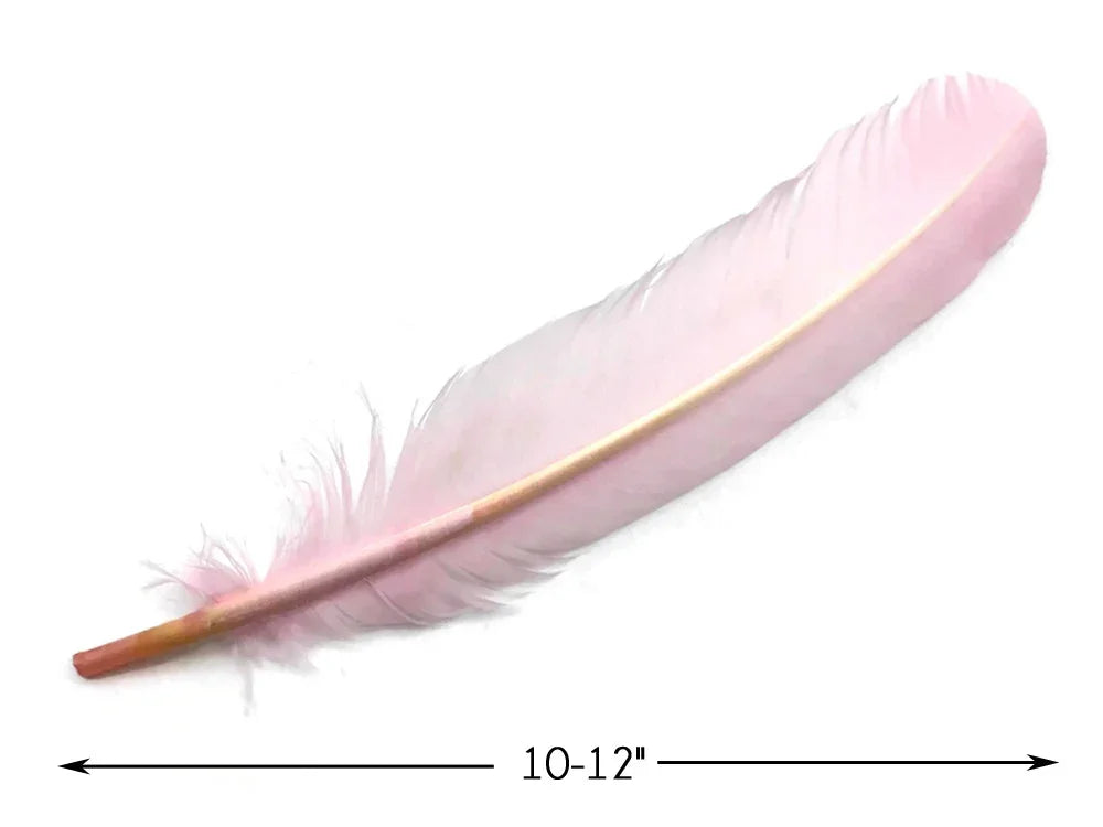 Soft pink feather for DIY crafts and fashion decor, 10-12 inches long