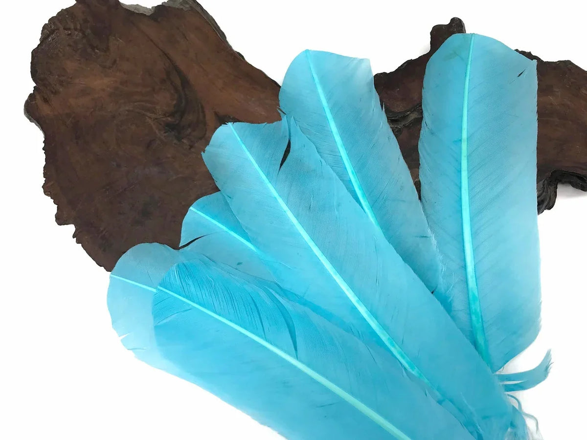 Vibrant turquoise blue feathers displayed on a natural dark wood slice.