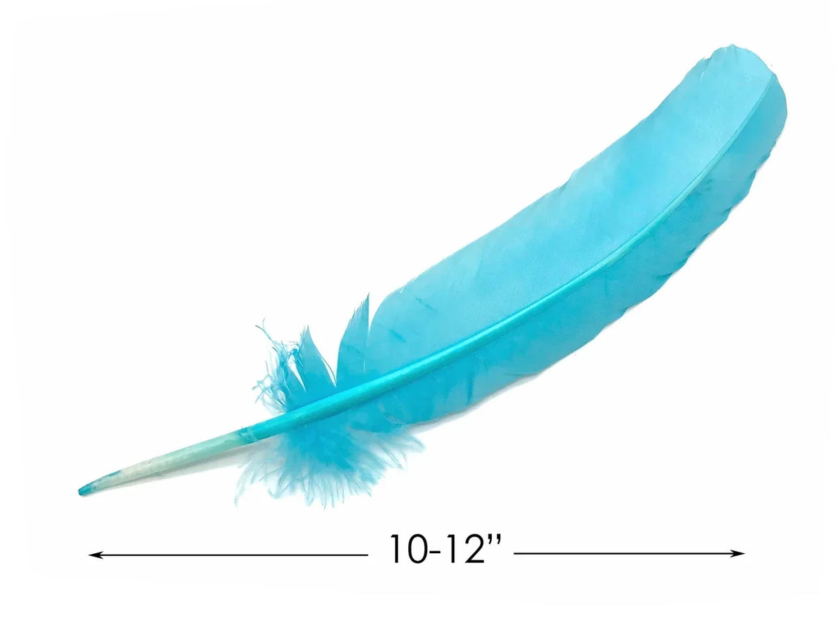 Single bright blue craft feather, 10-12 inches long, for DIY fashion and decor.
