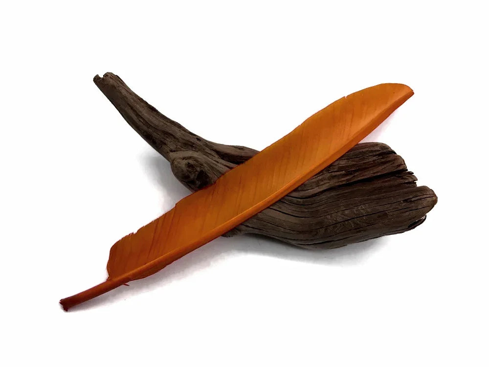 Vibrant orange craft feather resting on a piece of dark natural driftwood.