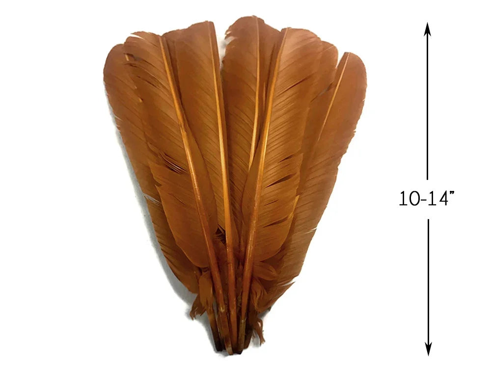 Bundle of large brown natural feathers for crafts and fashion, 10-14 inches long.