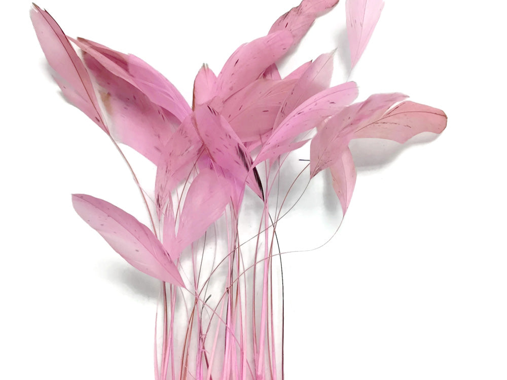 1 Yard - Light Pink Stripped Coque Tail Feathers Wholesale Trim (Bulk)