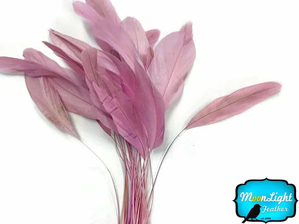 Bundle of soft pink feathers for DIY crafts and fashion decor.