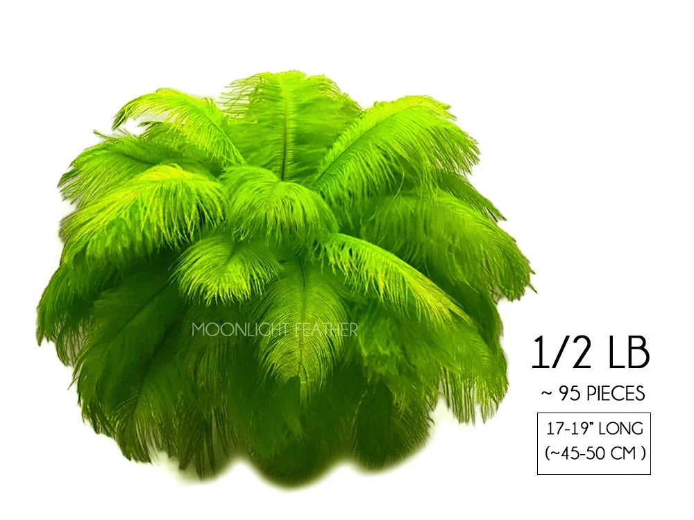 Vibrant lime green ostrich feathers for crafts and DIY decor, 1/2 lb pack of 95 pieces.