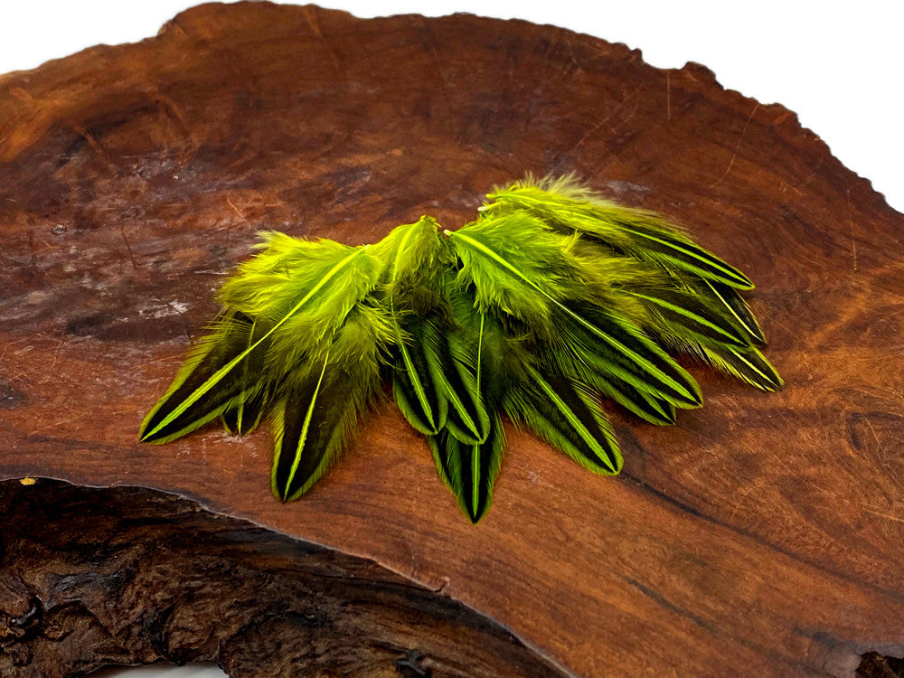 10 Pieces - Chartreuse Green Jungle Cock Loose Plumage Feather