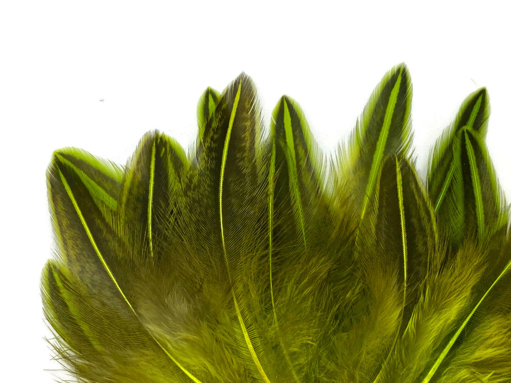 10 Pieces - Chartreuse Green Jungle Cock Loose Plumage Feather