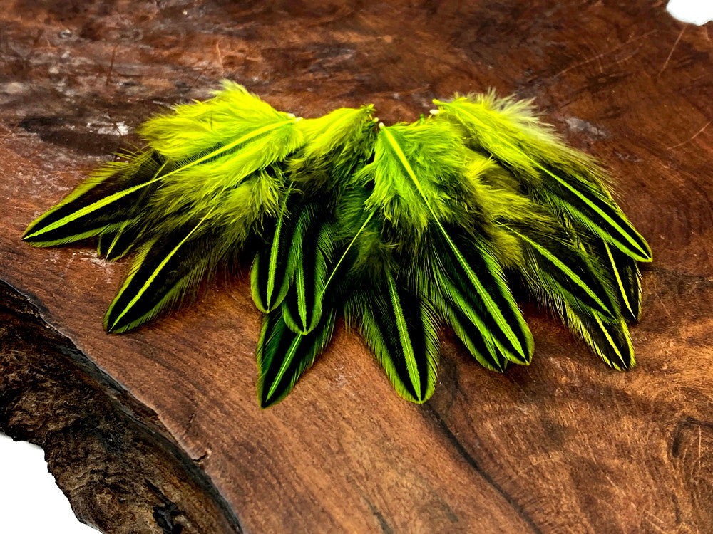 10 Pieces - Chartreuse Green Jungle Cock Loose Plumage Feather