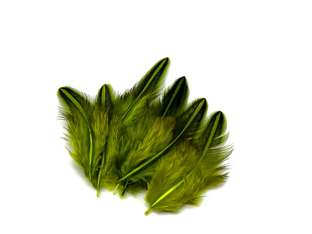 10 Pieces - Chartreuse Green Jungle Cock Loose Plumage Feather