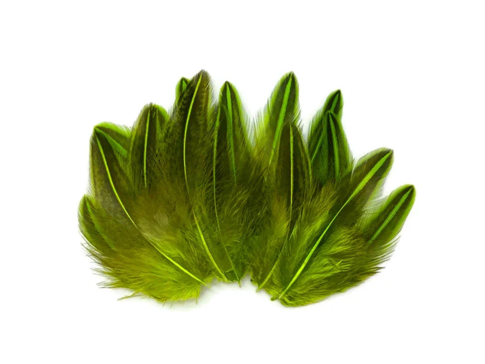 Vibrant green and yellow striped craft feathers for DIY fashion and decor.