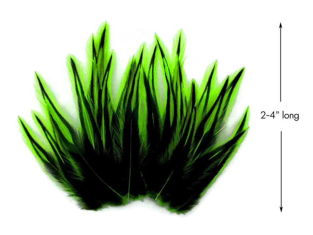 Vibrant green and black craft feathers, 2-4 inches long for DIY fashion and decor.
