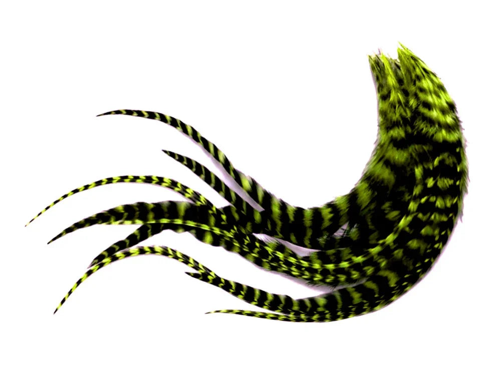 Striped lime green and black feathers for craft and fashion DIY projects.