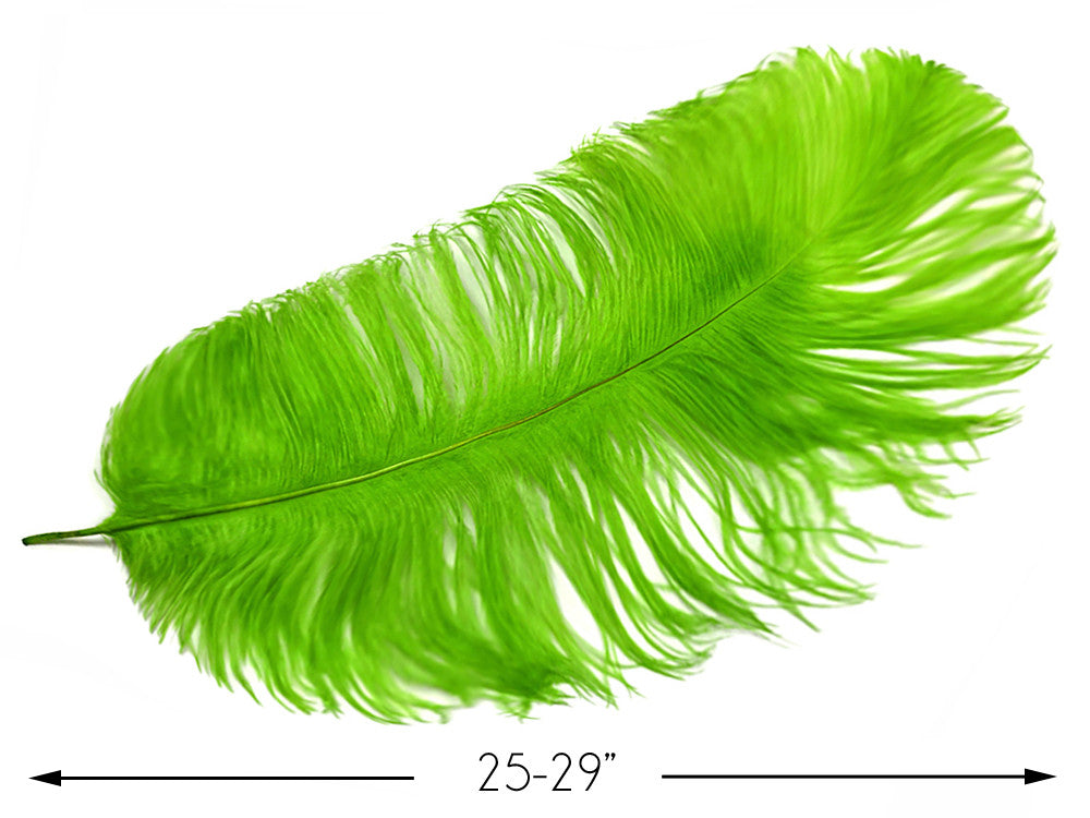 1/2 Lb. - 25-29" Lime Green Large Ostrich Wing Plume Wholesale Feathers (Bulk)
