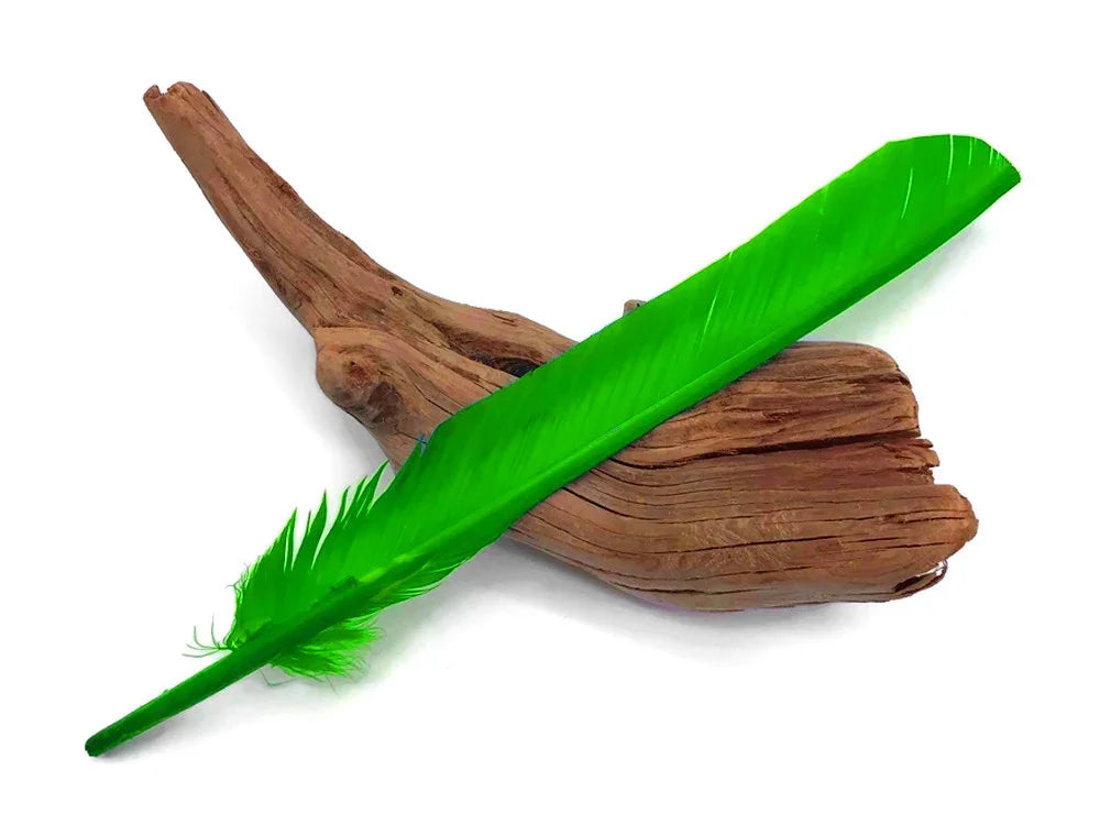 Vibrant neon green feather resting on a piece of natural driftwood on a white background.