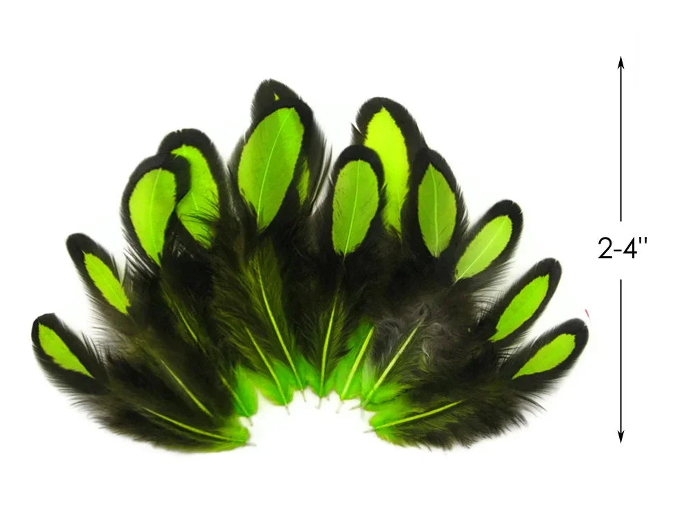Vibrant green and black natural feathers for DIY crafts and fashion decor, 2-4 inches.