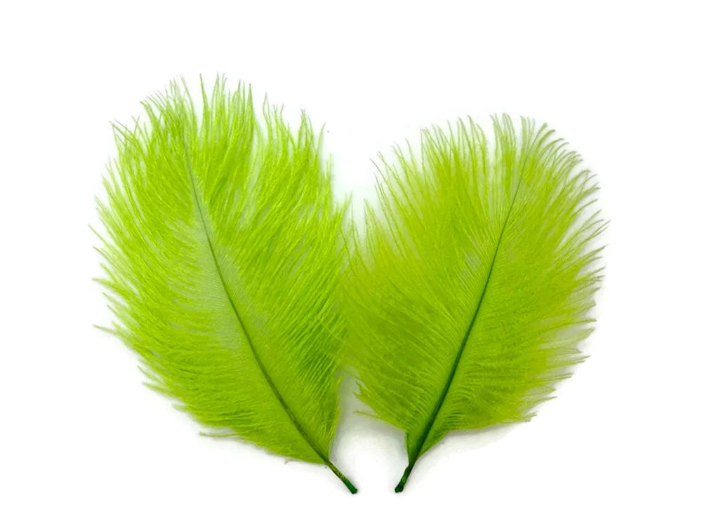 Two vibrant lime green ostrich feathers for DIY crafts and fashion décor.