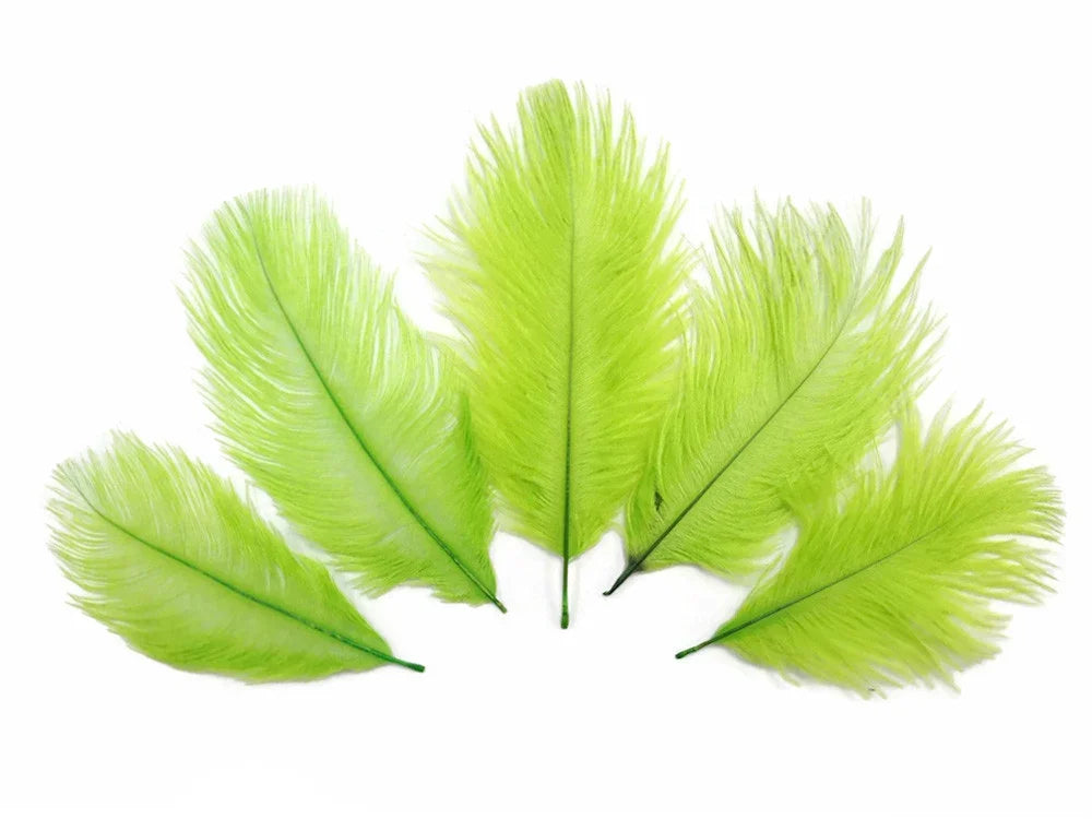 Five vibrant lime green ostrich feathers for DIY crafts and fashion decor on a white background.