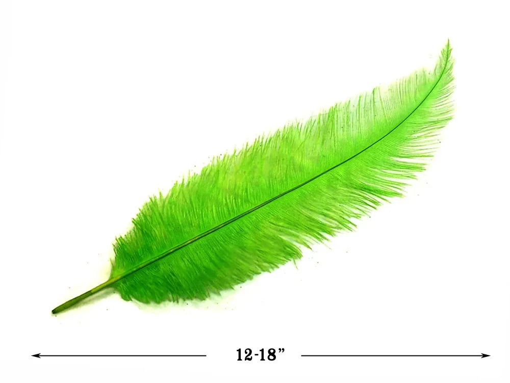Vibrant lime green feather for DIY crafts and fashion decor, 12-18 inches long.