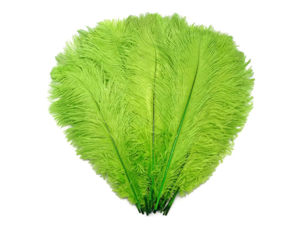 10 Pieces - 17-19" Lime Green Large Bleached & Dyed Ostrich Drabs Body Feathers