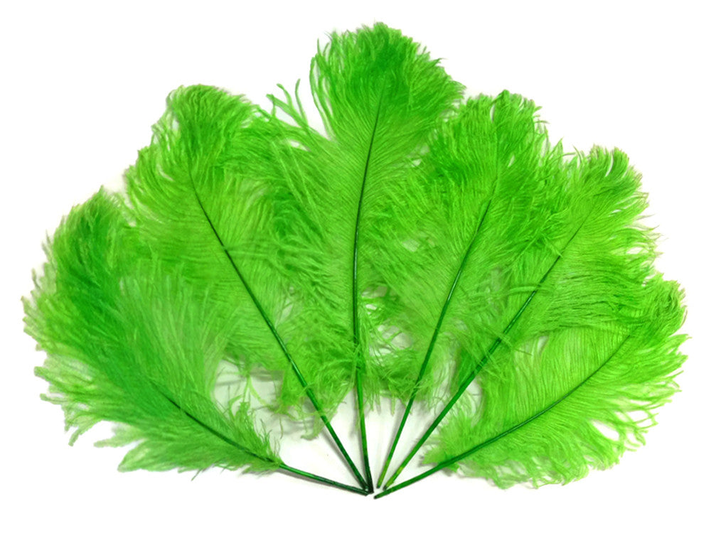 10 Pieces - 12-16" Lime Green Dyed Ostrich Tail Fancy Feathers