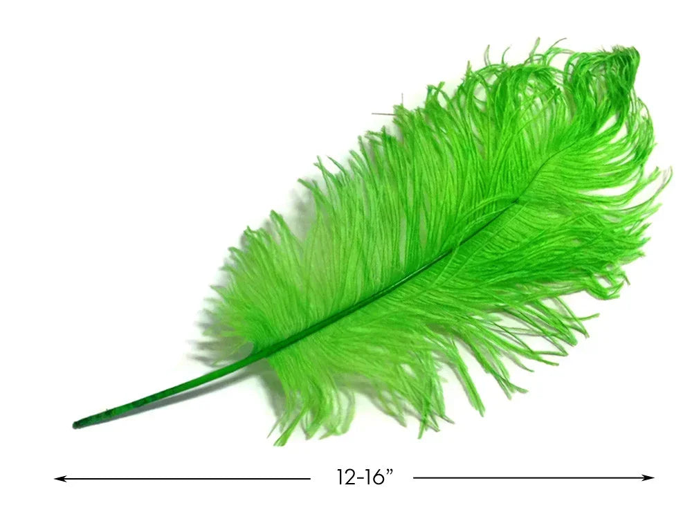 Vibrant lime green craft feather, 12-16 inches long, for DIY fashion and décor.