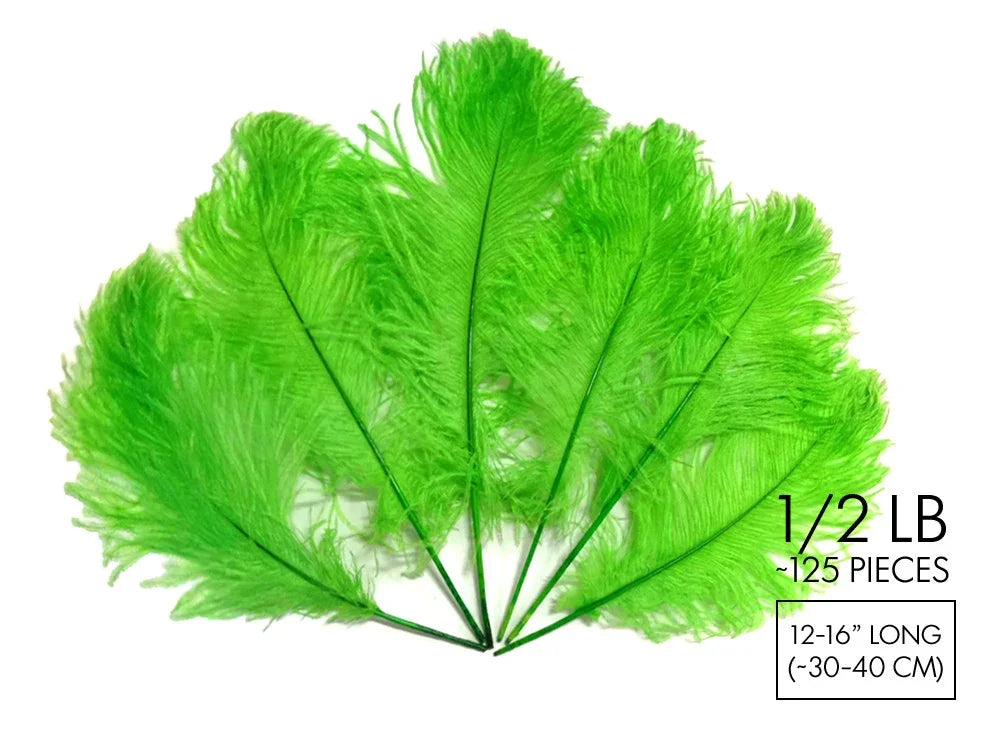 Vibrant lime green ostrich feathers for DIY crafts and fashion decor, 12-16 inches long.