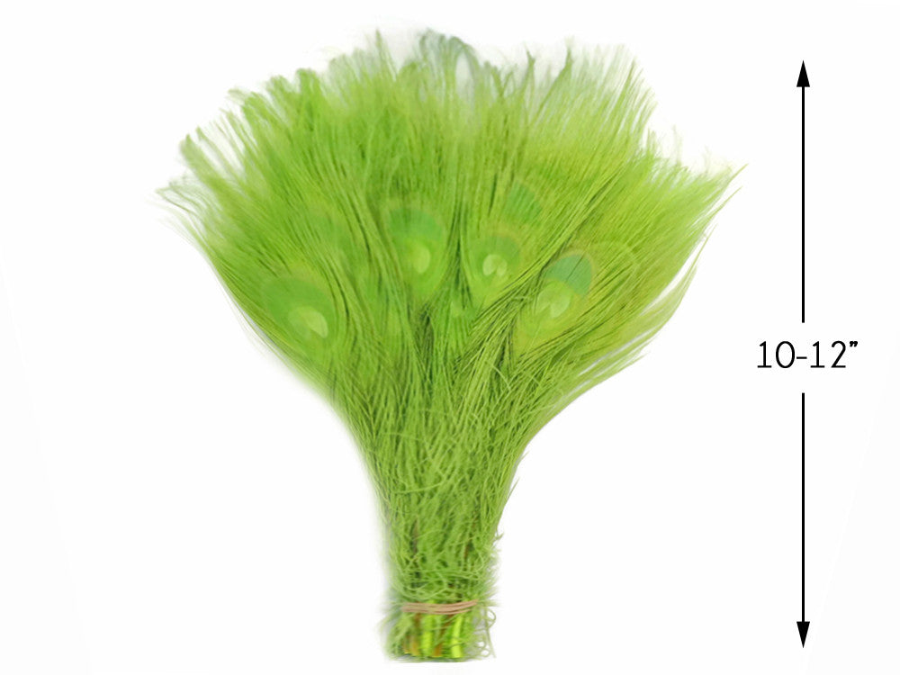 5 Pieces – Lime Green Bleached & Dyed Peacock Tail Eye Feathers 10-12” Long