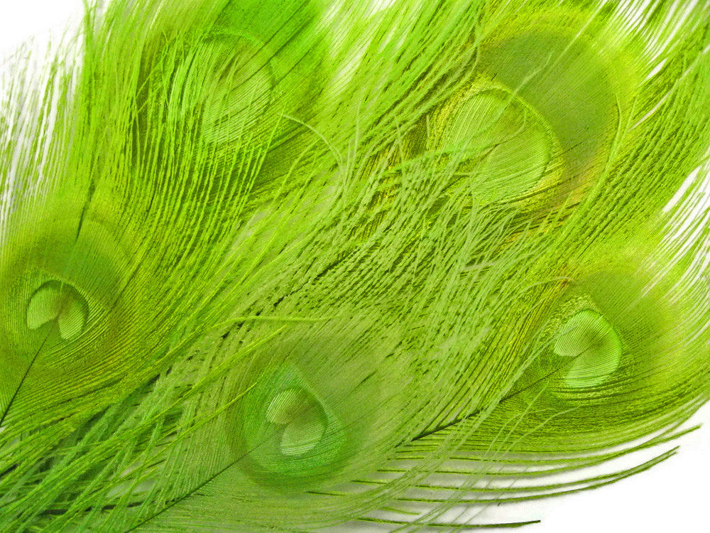 5 Pieces – Lime Green Bleached & Dyed Peacock Tail Eye Feathers 10-12” Long