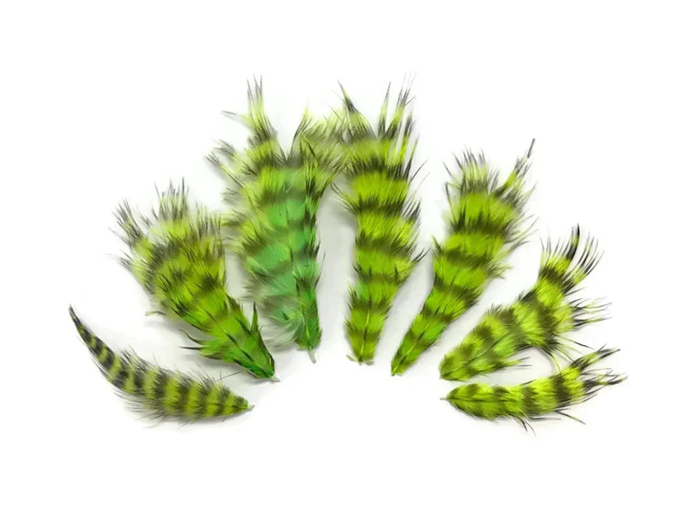 Set of vibrant green and black striped craft feathers for DIY fashion and decor.