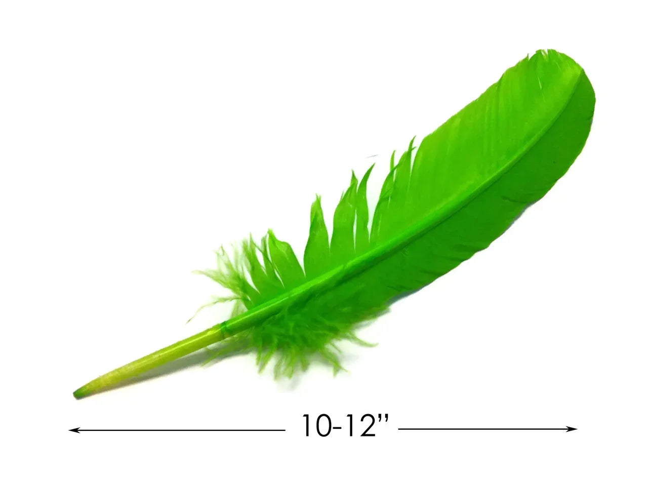 Vibrant lime green craft feather, 10-12 inches long, for DIY fashion and decor.