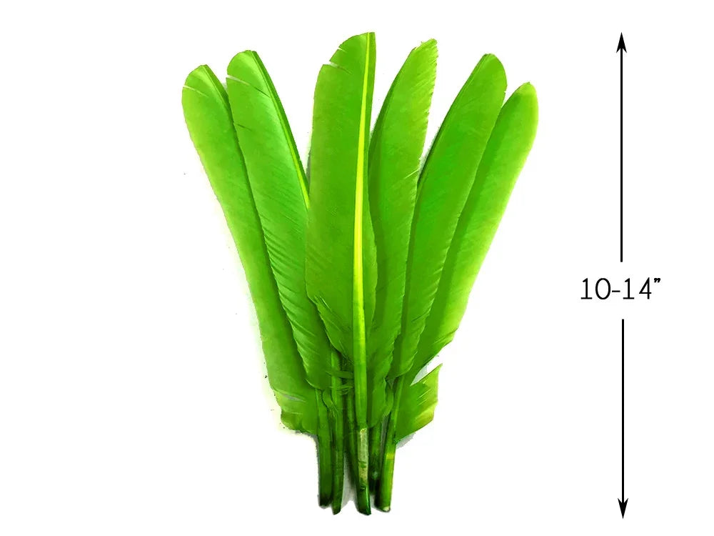Vibrant green dyed feathers for crafts and fashion decor, 10-14 inches long.