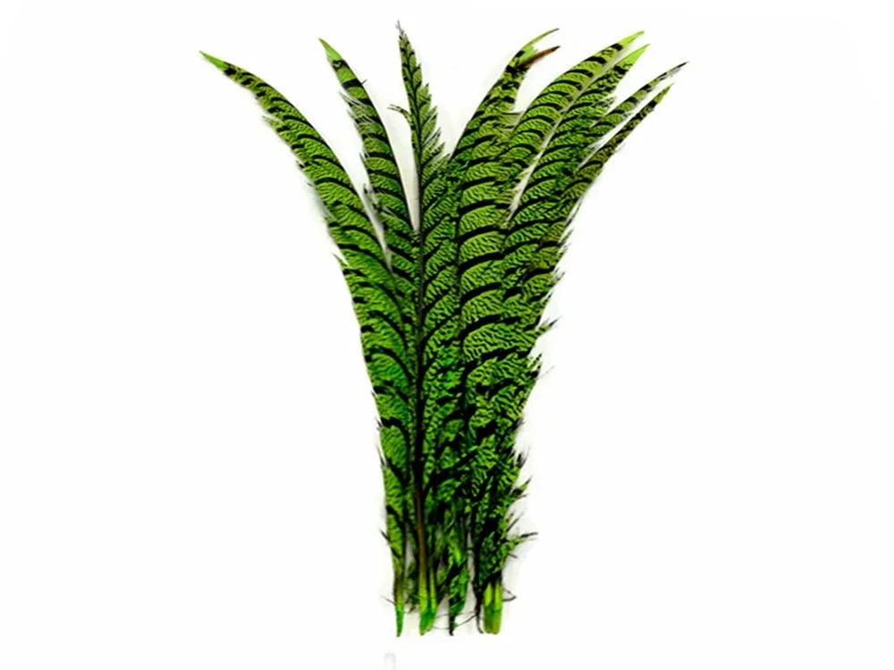Vibrant green and black striped pheasant feathers for DIY crafts and fashion décor.