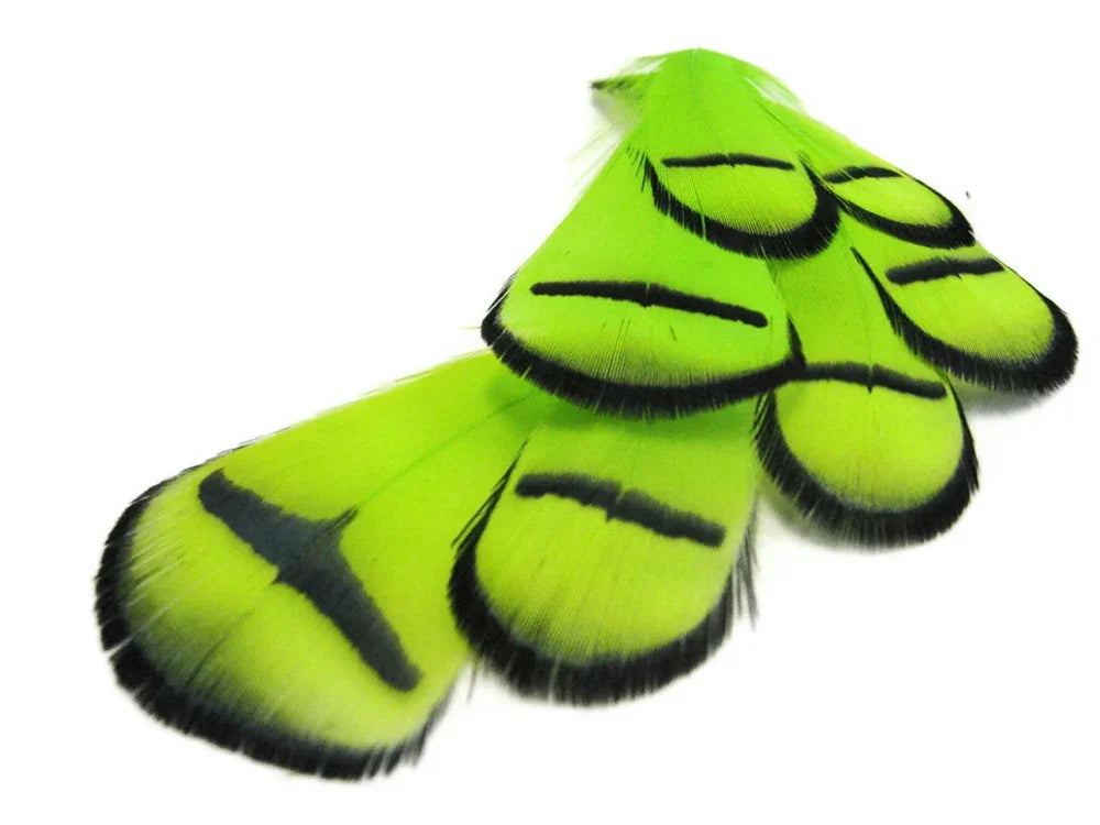 Vibrant lime green feathers with black stripes for DIY crafts and fashion décor.