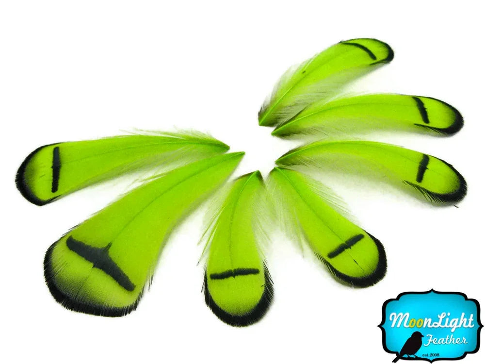 Vibrant lime green feathers with black tips and markings for crafts and fashion decor.