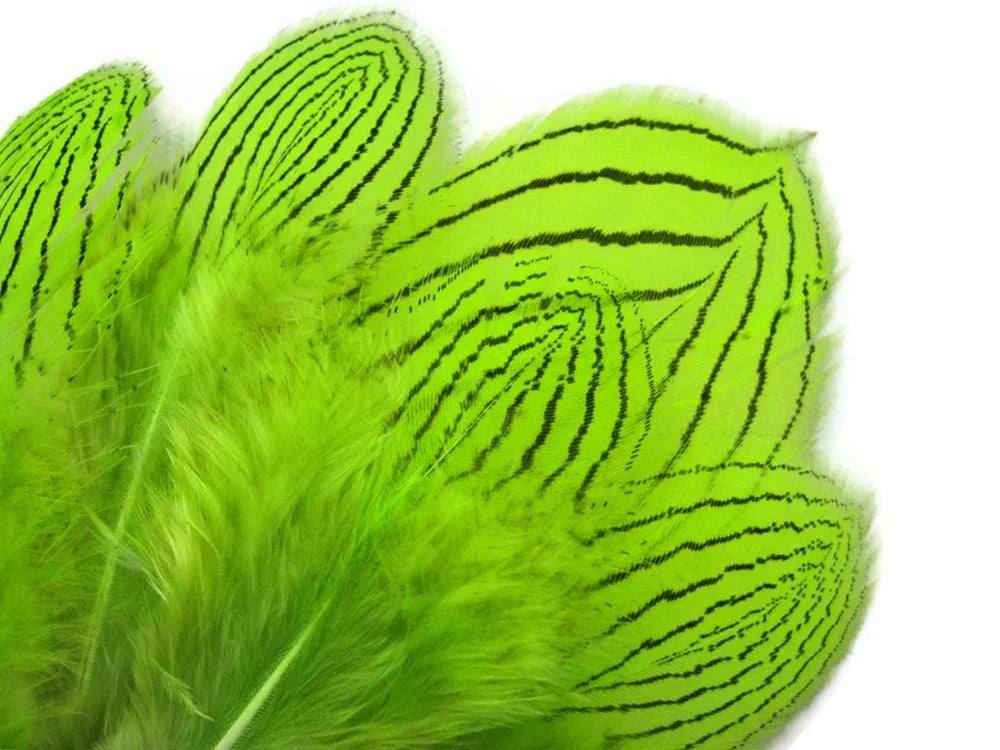 Vibrant lime green feathers with black striped patterns for DIY crafts and fashion decor.