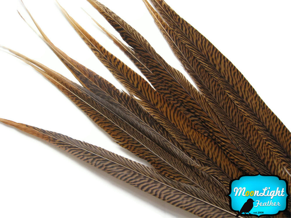10 Pieces - 18-20" Natural Long Golden Pheasant Tail Feathers