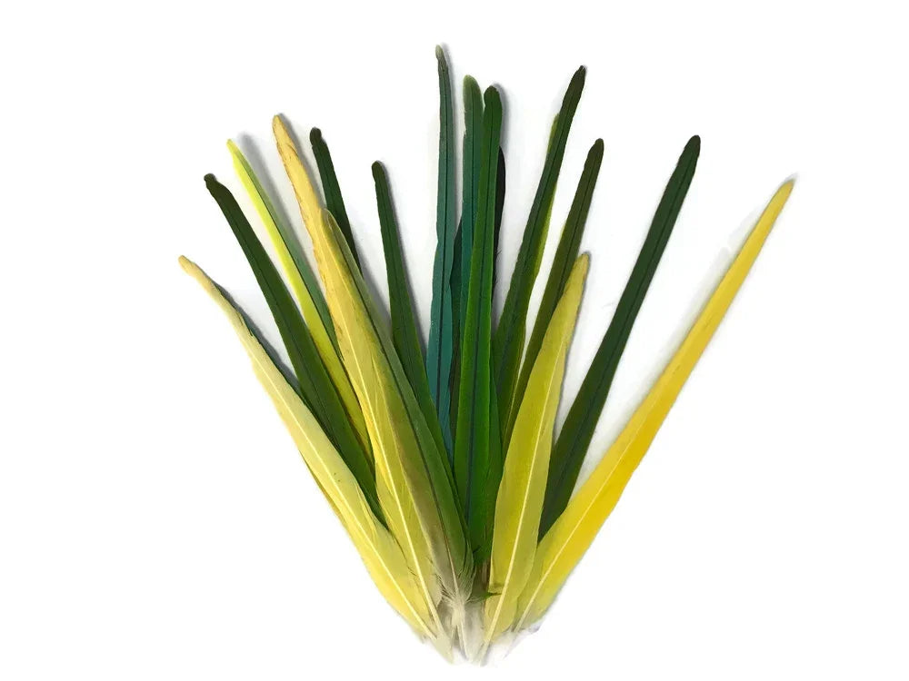 Vibrant green and yellow long feathers for DIY crafts and fashion decor.