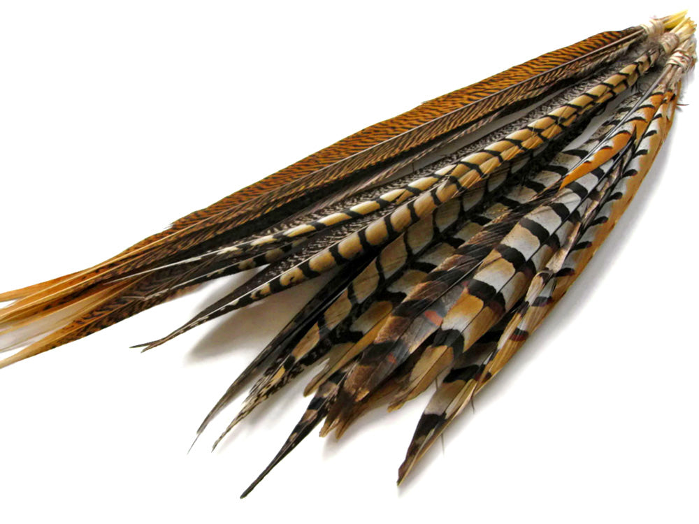 50 Pieces - 20-25" Natural Brown Golden Extra Long Pheasant Tail Wholesale Feathers (Bulk)